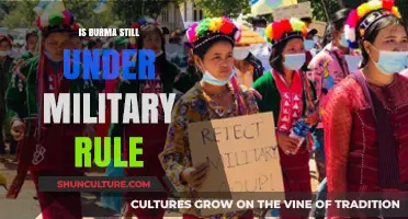 Myanmar's Political Landscape: The Persistence of Military Influence