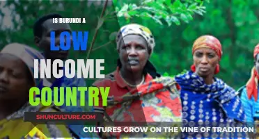 Exploring Burundi's Economic Status: A Closer Look at Income Levels