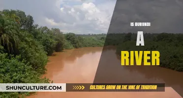 Exploring Burundi: Unveiling the Mysteries of Africa's Hidden River Gem