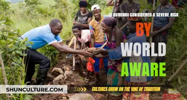 Exploring Burundi's Risk Status According to WorldAware Assessments