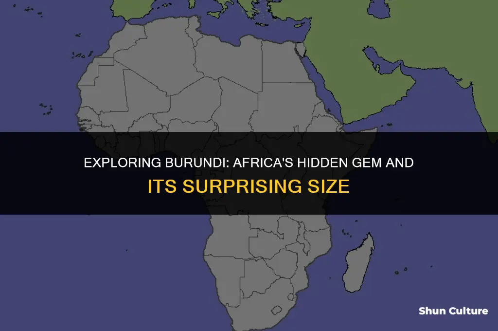 is burundi the smallest country in africa