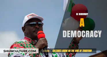 Exploring Burundi's Political Landscape: Democracy in Question