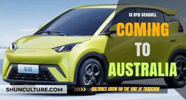 BYD Seagull: Australia's Next Affordable EV?