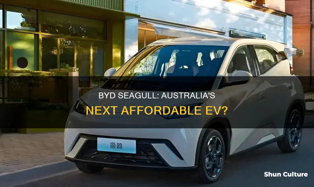 is byd seagull coming to australia