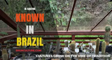 Exploring Brazil's Flora: Are Cacti Common in Brazilian Landscapes?