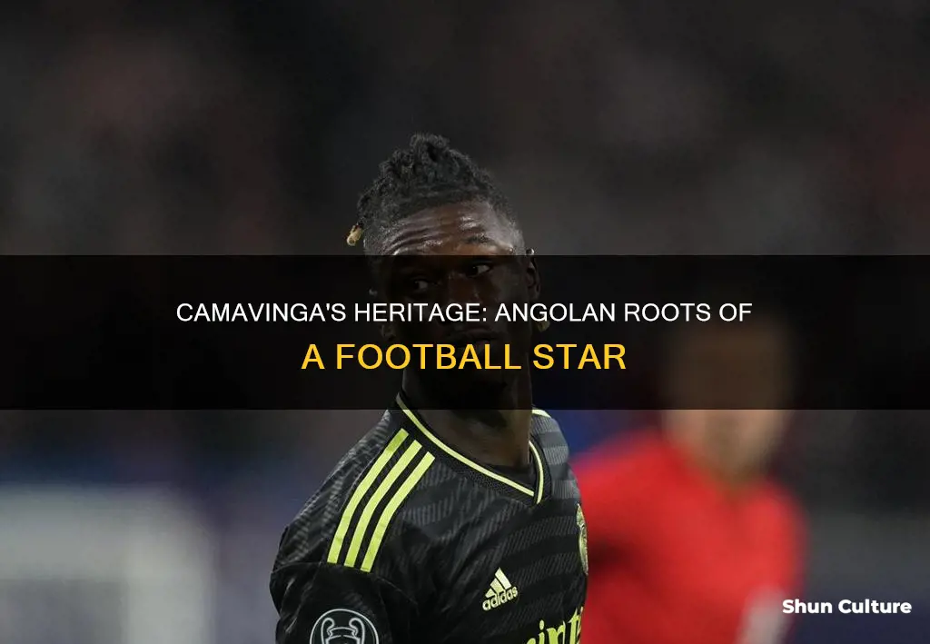 is camavinga angolan