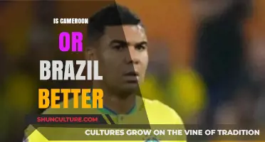 Cameroon vs. Brazil: Which Country Excels in Culture, Economy, and Lifestyle?