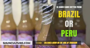 Brazil vs. Peru: Which Country Produces Superior Camu Camu?