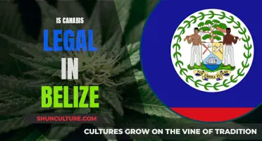 Cannabis Conundrum: Navigating the Complexities of Marijuana Laws in Belize