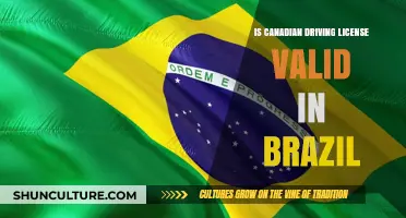 Is Your Canadian Driver's License Valid in Brazil? Find Out