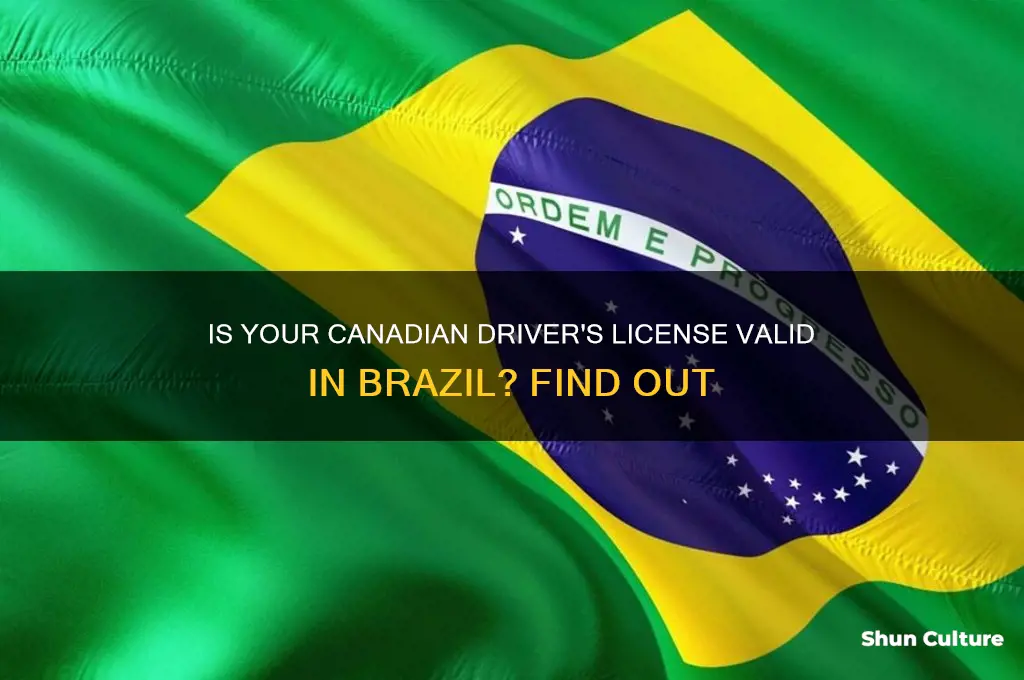 is canadian driving license valid in brazil