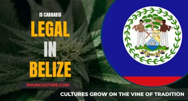 Cannabis Laws in Belize: What You Need to Know