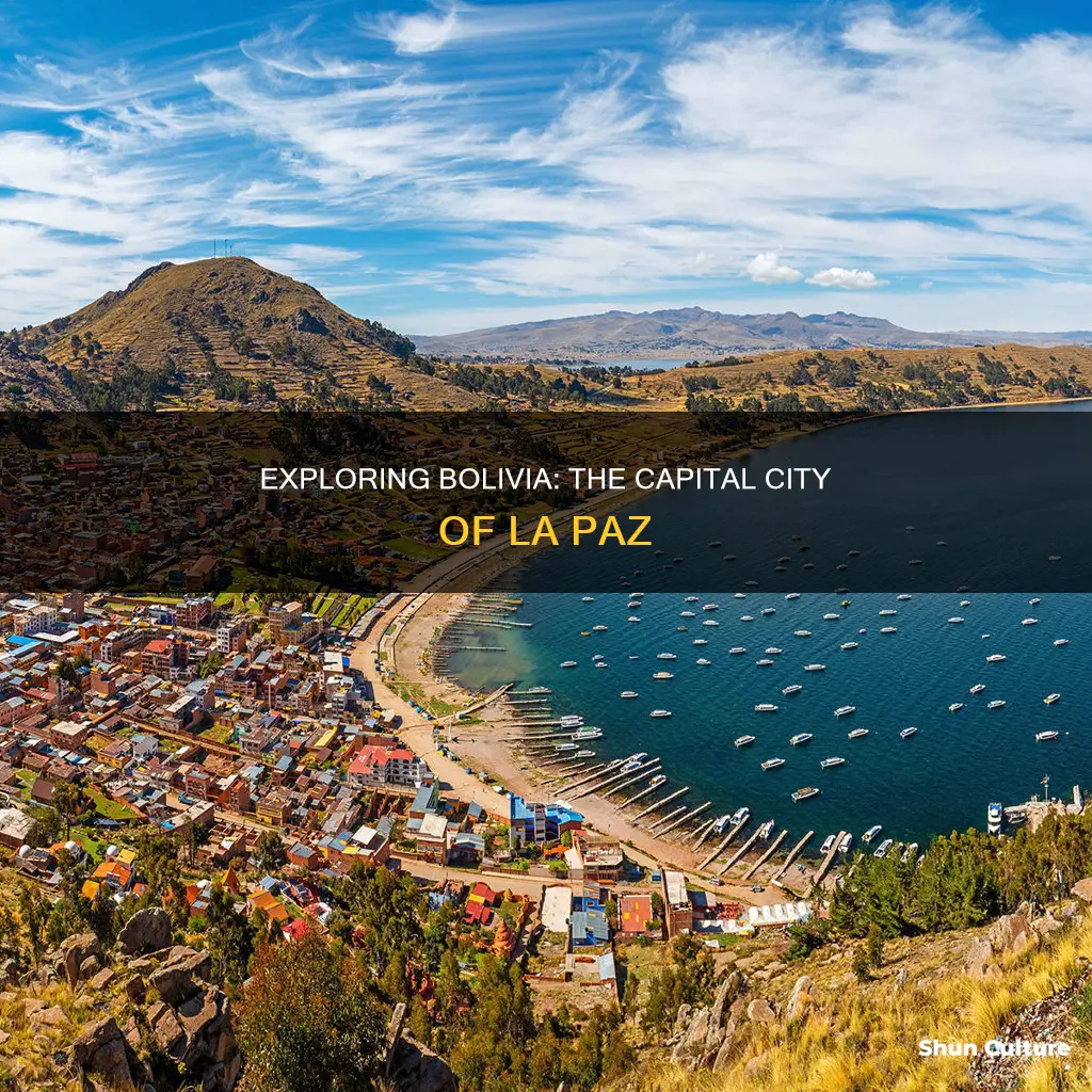 is capital of bolivia