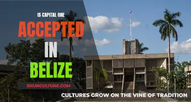 Belize's Acceptance of Capital One Cards: What Travelers Need to Know