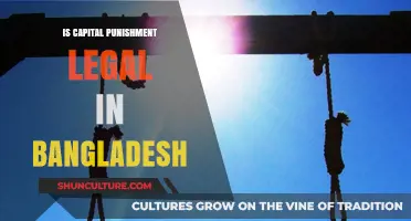 Capital Punishment in Bangladesh: Legal Status and Current Practices
