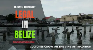 Capital Punishment in Belize: A Legal Conundrum