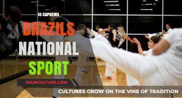 Is Capoeira Brazil's National Sport? Unraveling the Cultural Debate