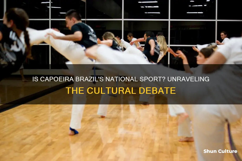 is capoeira brazils national sport