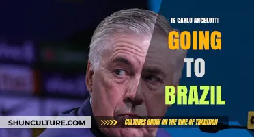 Carlo Ancelotti to Brazil: Rumors, Reality, and Future Plans