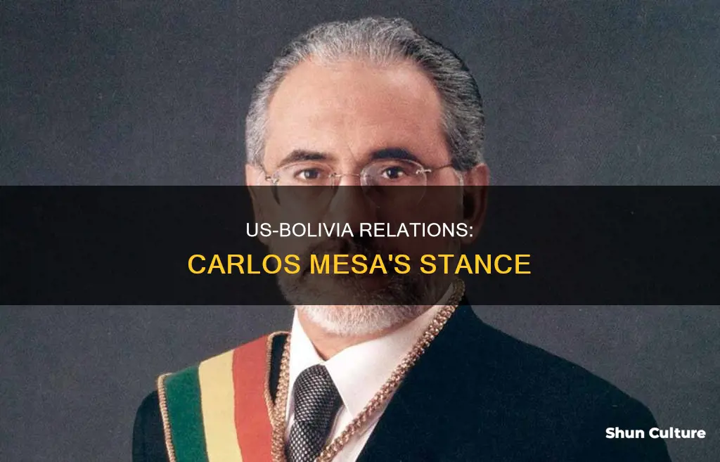 is carlos mesa of bolivia pro us