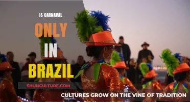 Beyond Brazil: Exploring Global Carnival Celebrations and Traditions