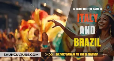 Carnevale in Italy vs. Brazil: A Festive Cultural Comparison