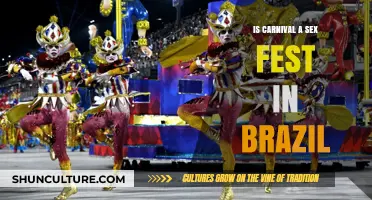 Carnival in Brazil: Unveiling the Truth Behind the Sensual Celebrations