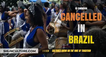 Is Carnival Cancelled in Brazil? Latest Updates and What to Expect