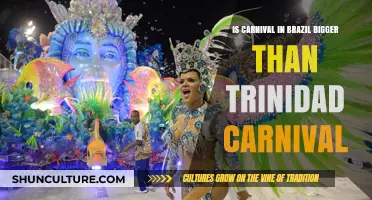 Brazil vs. Trinidad Carnival: Which Celebration Reigns Supreme?
