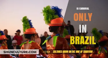 Beyond Brazil: Exploring Carnival Celebrations Around the Globe