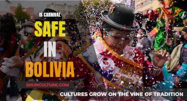 Carnival Safety in Bolivia: Is It Safe to Celebrate?