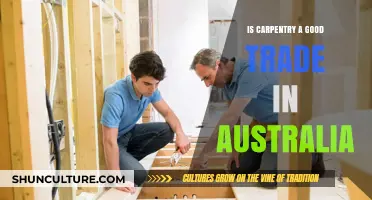 Carpentry in Australia: A Lucrative Trade?