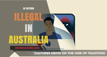 Catfishing in Australia: What's the Law?