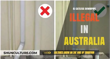 Catless Downpipes: Legal or Not in Australia?
