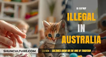 Catnip in Australia: Legal or Not?