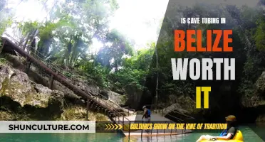 Belize's Underground Paradise: Is Cave Tubing Worth the Adventure?