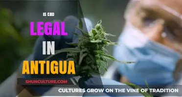 Is CBD Legal in Antigua? Understanding Current Laws and Regulations