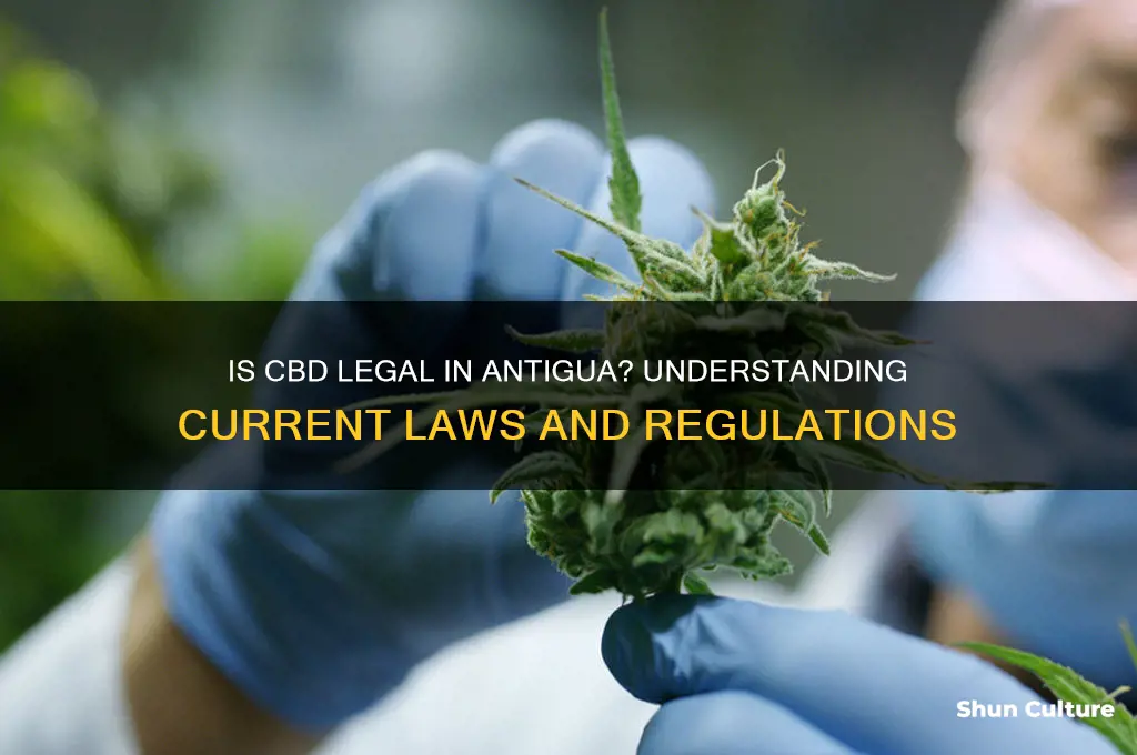is cbd legal in antigua