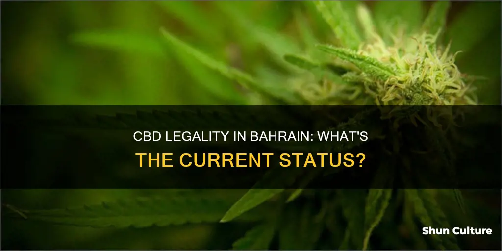 is cbd legal in bahrain