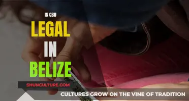 Is CBD Legal in Belize? Navigating the Complexities of Cannabis Laws in Central America