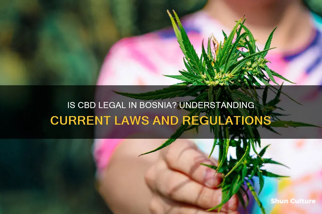 is cbd legal in bosnia