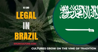 Is CBD Legal in Brazil? Understanding Current Laws and Regulations