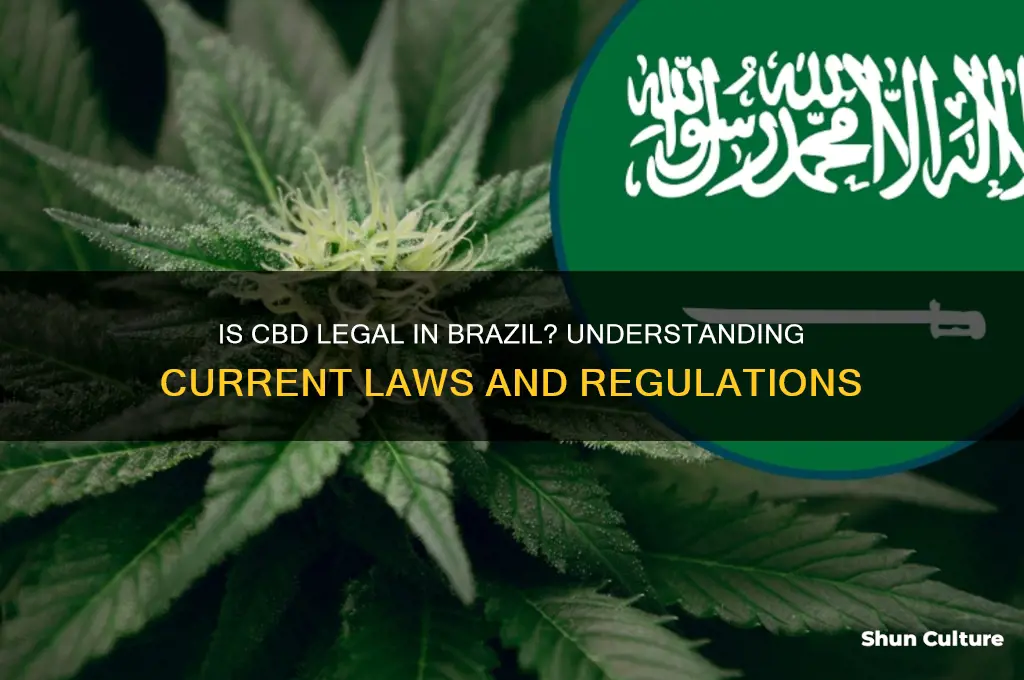 is cbd legal in brazil