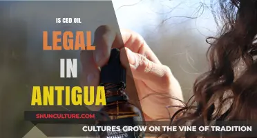 Is CBD Oil Legal in Antigua? Understanding the Current Laws