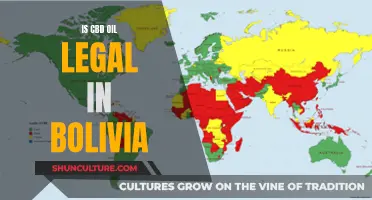 CBD Oil in Bolivia: Is It Legal?