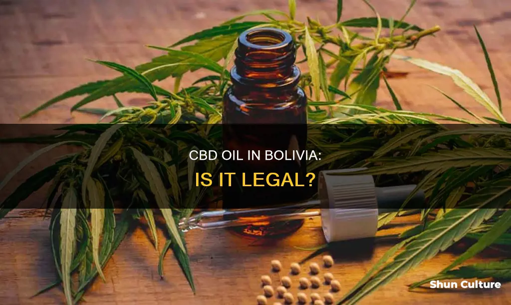 is cbd oil legal in bolivia