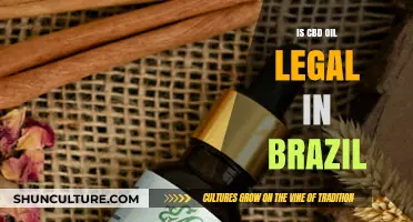 Is CBD Oil Legal in Brazil? Understanding Current Laws and Regulations