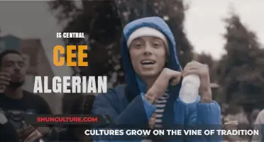 Is Central Cee Algerian? Unraveling the Rapper's Heritage and Roots