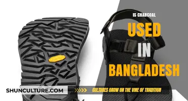 Charcoal Usage in Bangladesh: Exploring Its Role and Impact