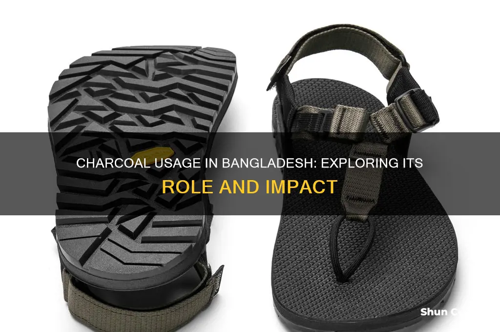is charcoal used in bangladesh